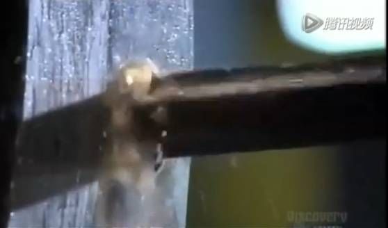 比人還大的大型閥門是怎么制造出來的？-