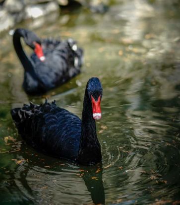 被評為“上海名牌”產(chǎn)品,這家企業(yè)究竟為民族閥門工業(yè)盡了多少力量?- 被評為“上海名牌”產(chǎn)品,這家企業(yè)究竟為民族閥門工業(yè)盡了多少力量?-