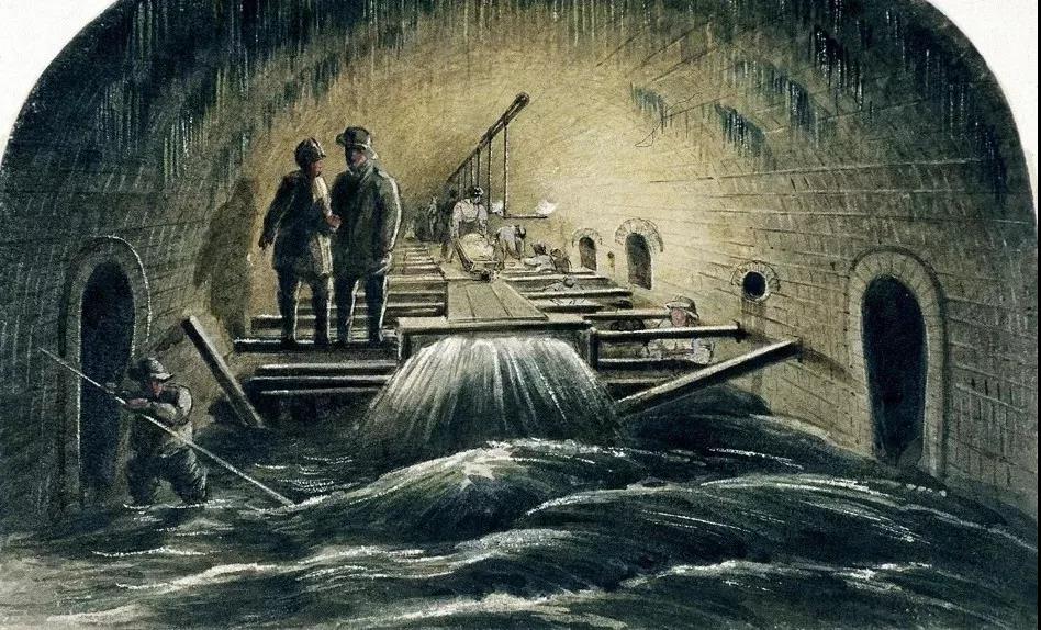 從一條臭河變成了全球最潔凈的城市水道之一,泰晤士河的治理啟示- 從一條臭河變成了全球最潔凈的城市水道之一,泰晤士河的治理啟示-