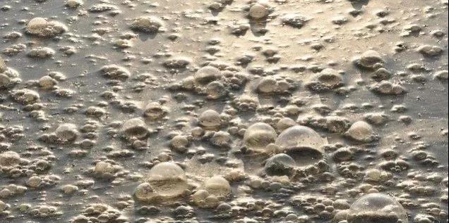 污水廠內的生物氣溶膠，污水從業人員必讀-