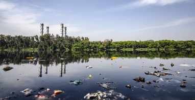 黑龍江省2024年農村生活污水、黑臭水體治理工作方案