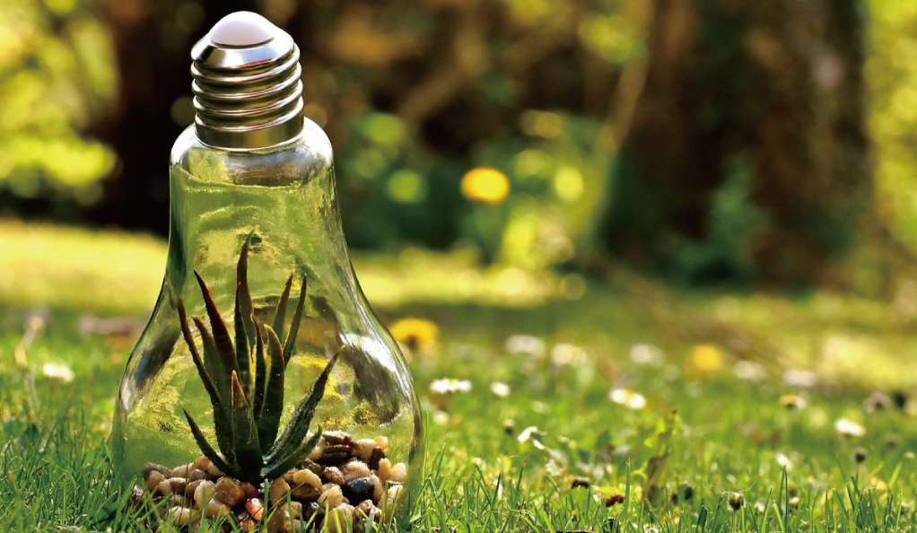 中央生態(tài)環(huán)境保護(hù)督察通報江蘇典型案例：部分水體返臭返黑