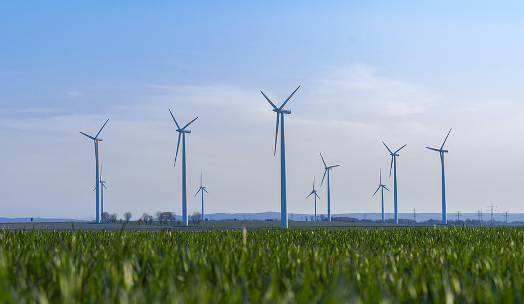 “借船出海”！中節(jié)能國(guó)禎用“技術(shù)+運(yùn)營(yíng)”打造核心優(yōu)勢(shì)